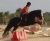 Ciar�n