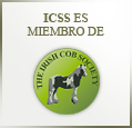 Miembros de ICS Ltd - Ireland