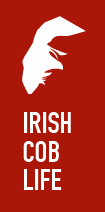 Irish Cob Life