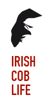 Irish Cob Life